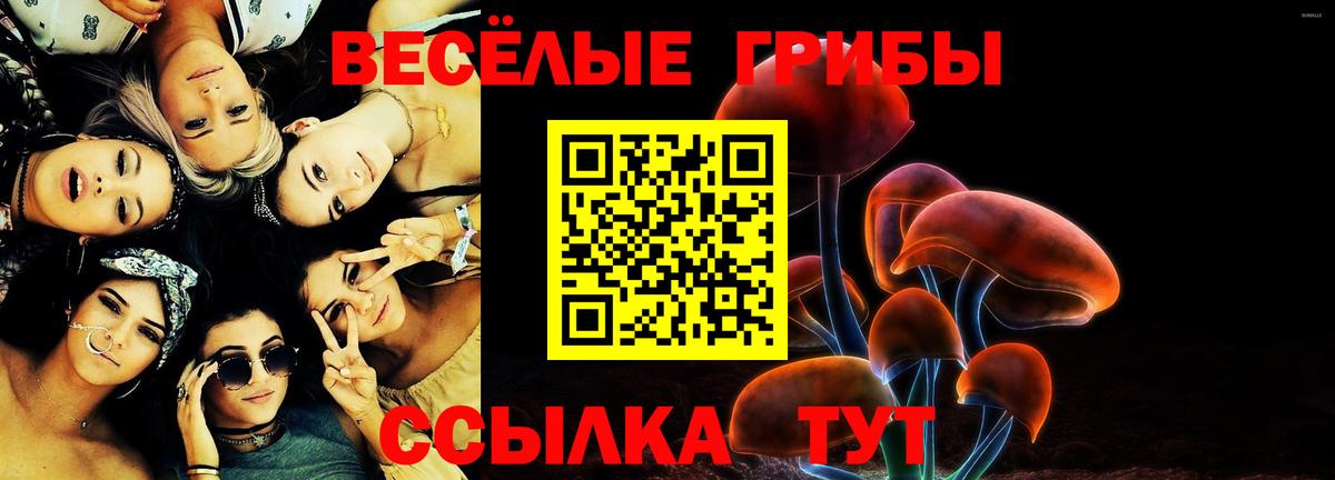 Псилоцибиновые грибы Psilocybine cubensis Раменское