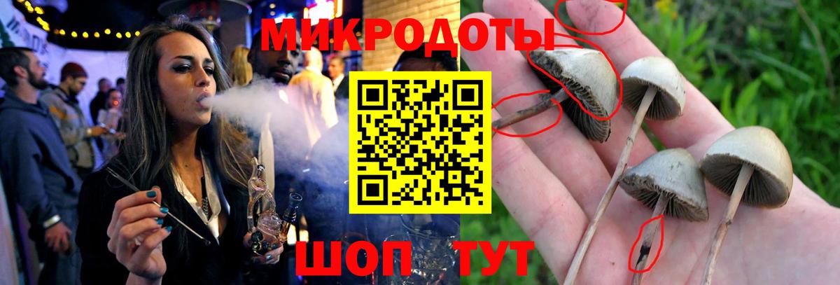 Раменское  Псилоцибиновые грибы GOLDEN TEACHER  Вход с VPN  Псилоцибиновые грибы Psilocybe 