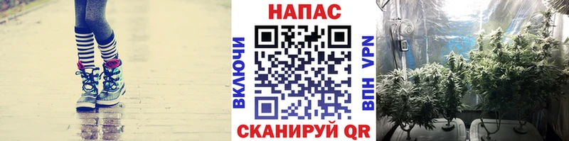 Шишки марихуана план  Раменское 